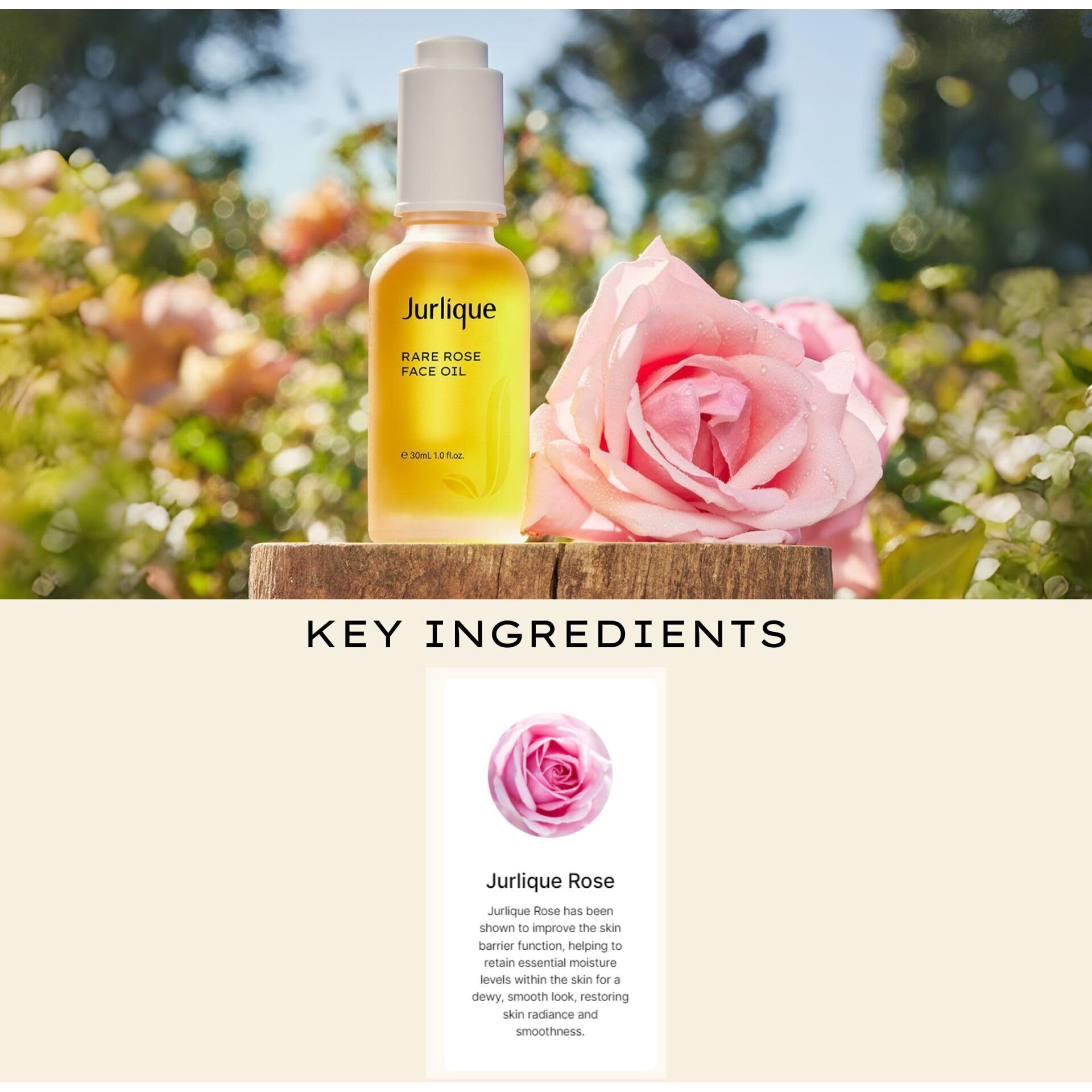 Jurlique Rare Rose Face Oil | 30Ml | Dry Finish Hydrating Facial Oil To Hydrate & Relax | Face Oil For Women & Men With Dry Skin | For Day Or Night | Australian Made Natural-Based Skincare