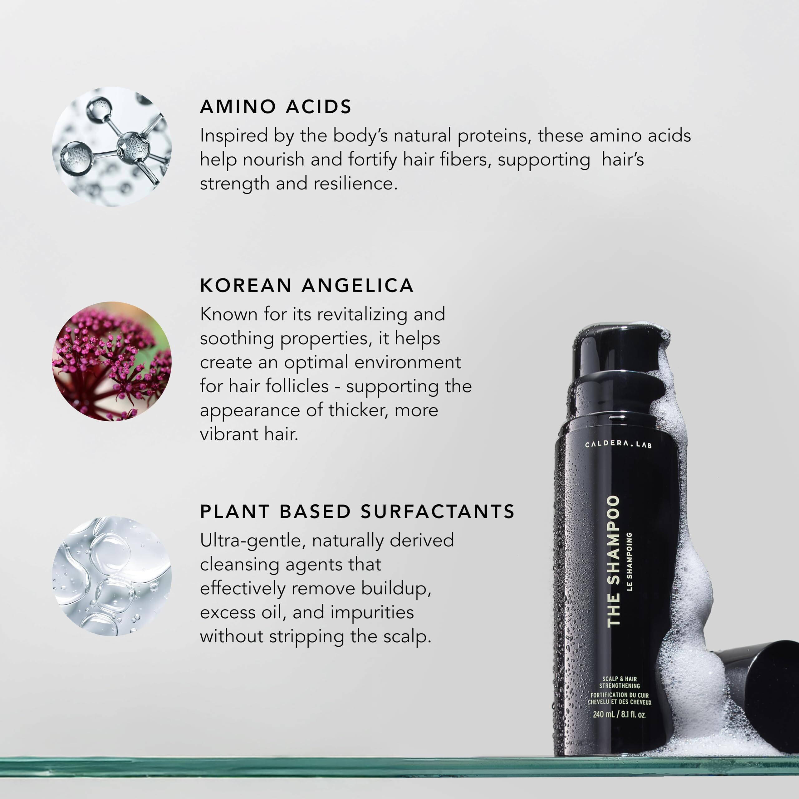 Caldera + Lab The Shampoo | Mens Shampoo For Healthy Hair, Sulfate-Free Daily Cleanser, Dermatologically Tested - All Hair Types