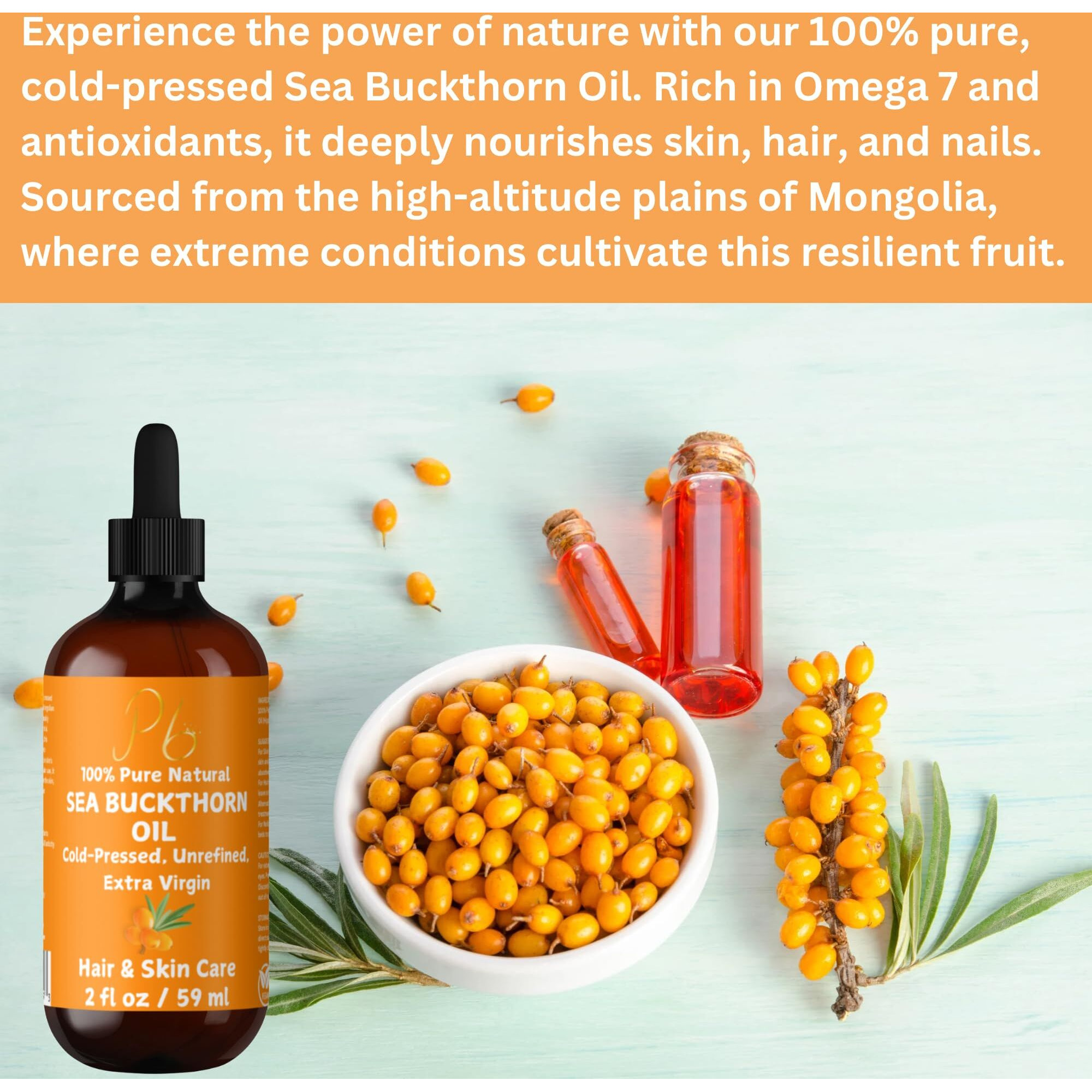 Sea Buckthorn Seed Oil - 100% Pure, Cold-Pressed & Unrefined - Natural Moisturizer For Face, Hair, Skin & Nails - Supports Radiant, Youthful-Looking Skin - Amber Glass Bottle 2 Fl Oz