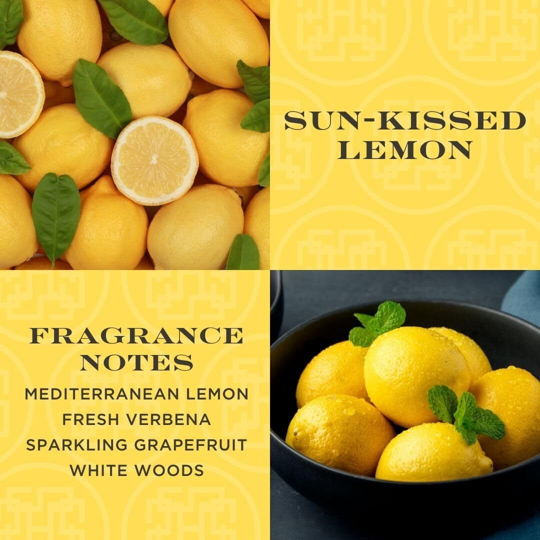 Homeworx By Slatkin + Co. 22 Fl Oz. Hand Soap- Sun Kissed Lemon