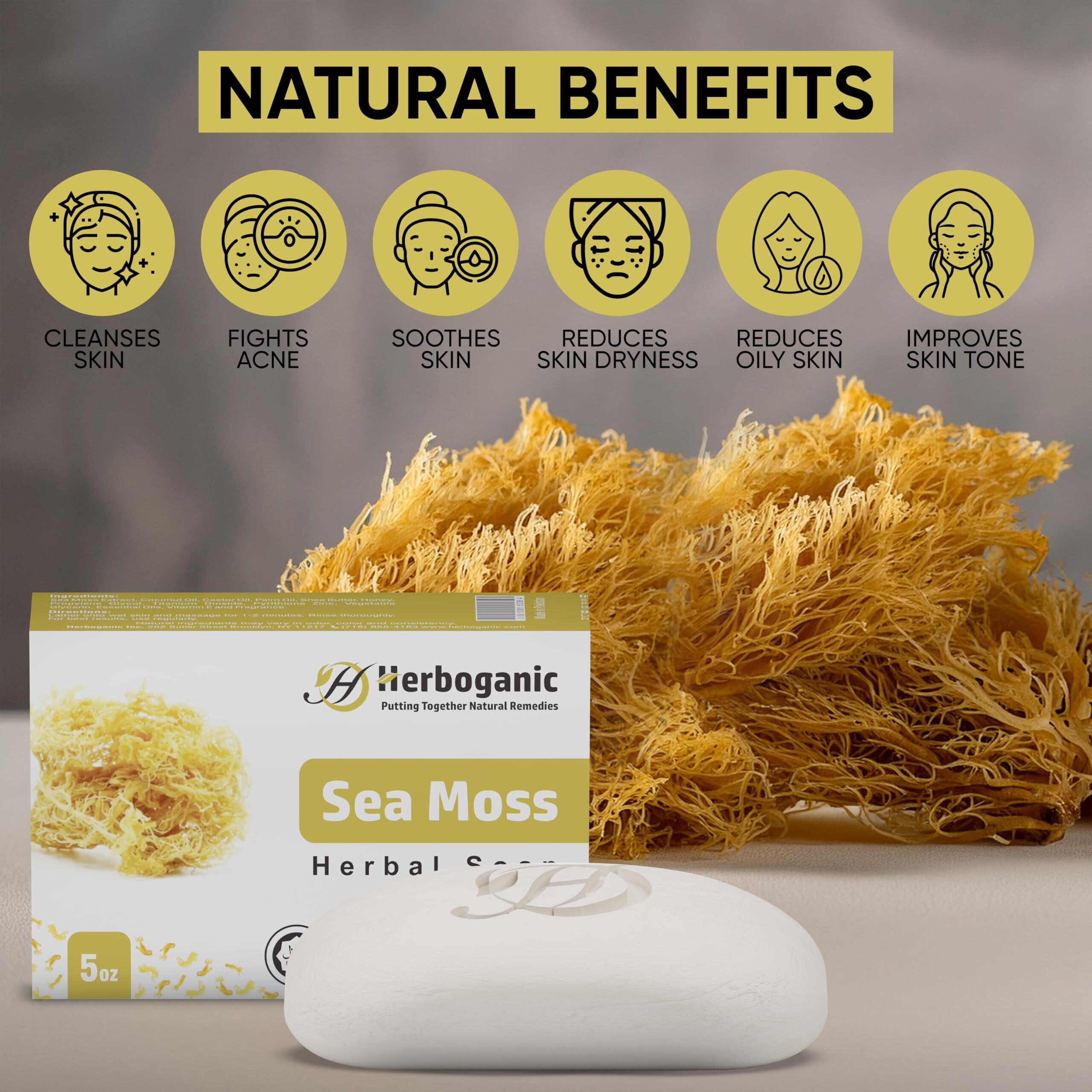 Herboganic Sea Moss Herbal Soap | Pack Of 3 Of 5Oz Soap Bar | Natural Bar Soap For Face And Body | Hydrating And Nourishing | Suitable For Men And Women