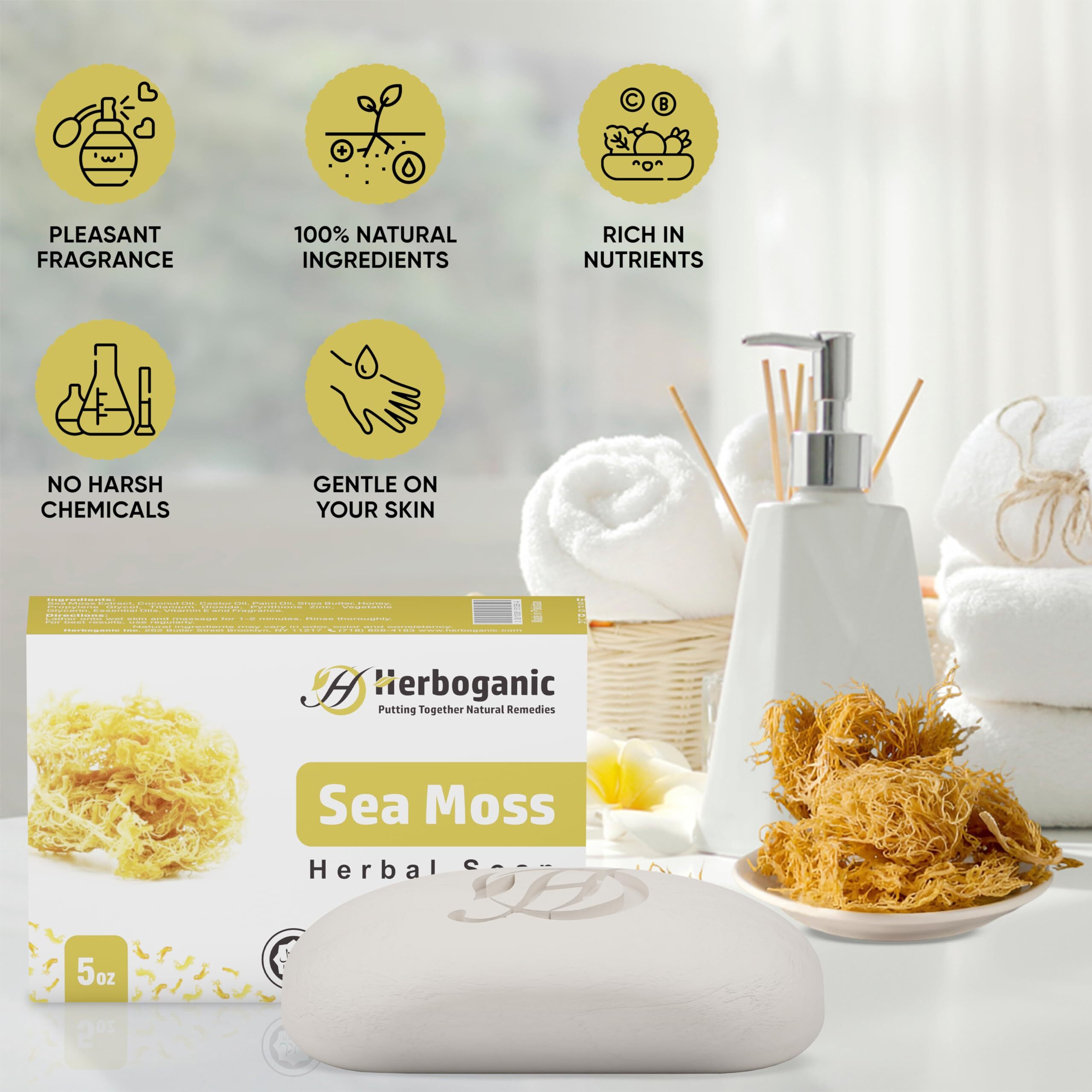 Herboganic Sea Moss Herbal Soap | Pack Of 3 Of 5Oz Soap Bar | Natural Bar Soap For Face And Body | Hydrating And Nourishing | Suitable For Men And Women