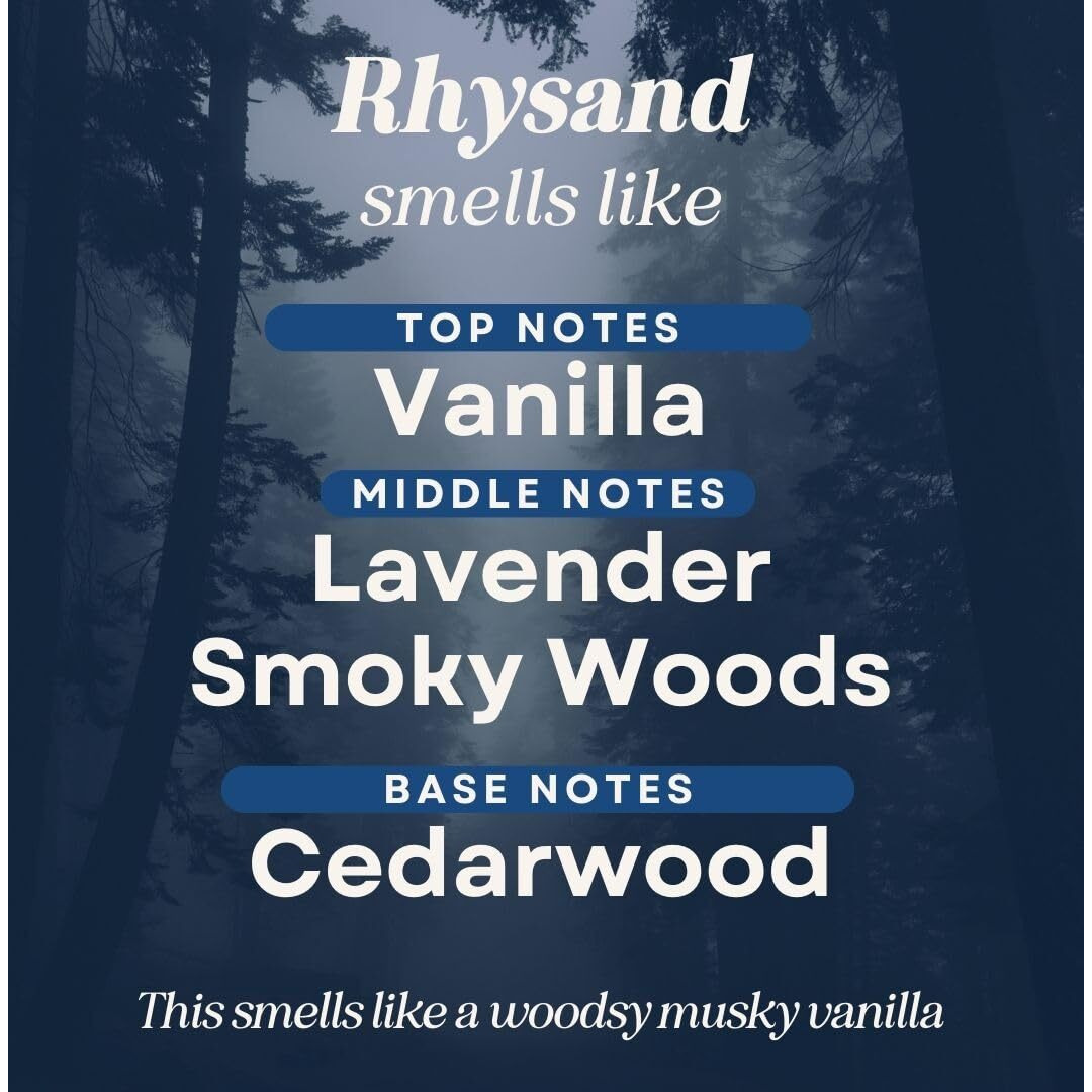 Candecraftco 2 Pack Bookish Scents Car Air Freshener For Essential Oils, Aromatherapy Automobile Diffuser, Gift For Her, Library, Book Lover Gift, Reading Bibliophile (Rhysand)