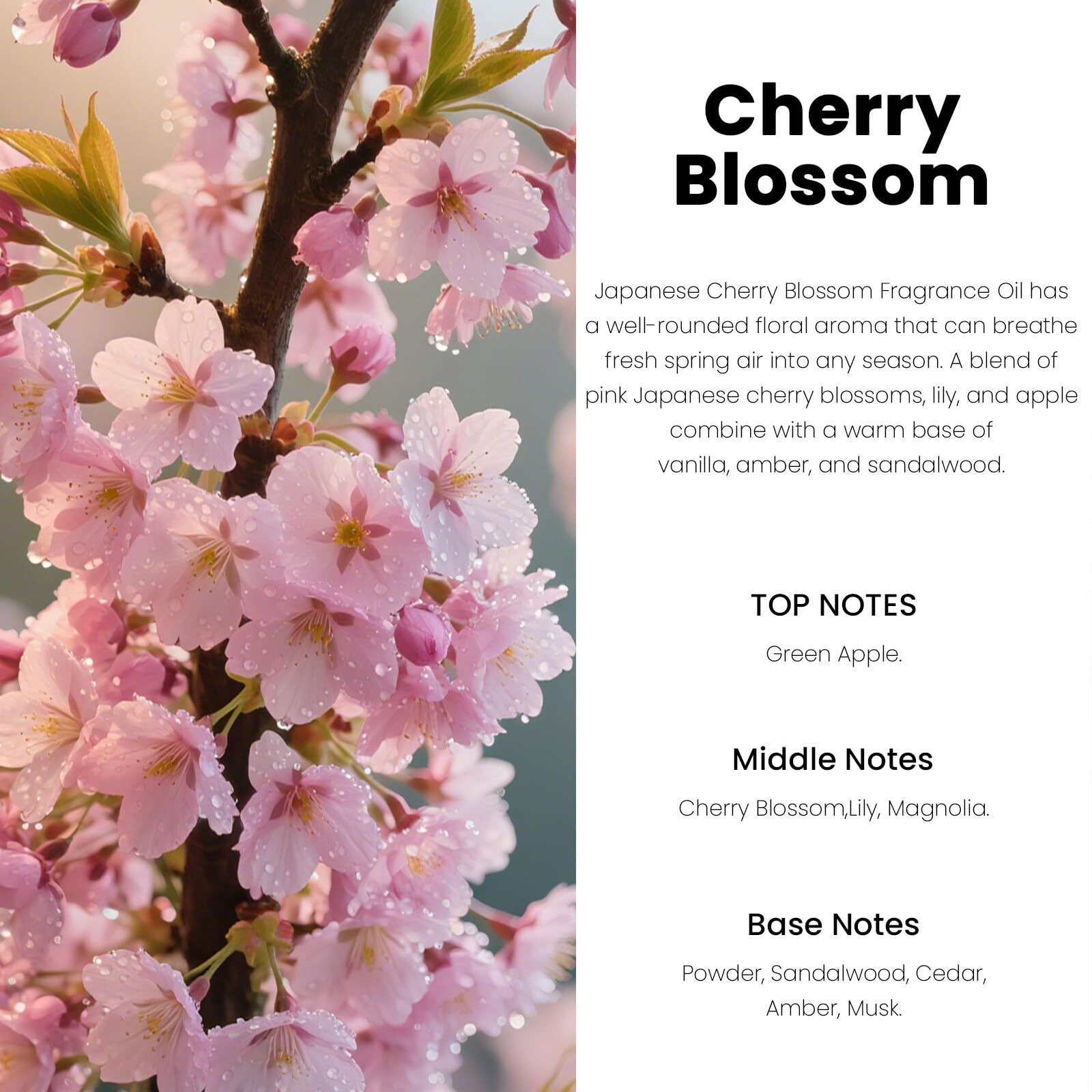 Car Air Freshener, Hanging Diffuser For Car Interior, Long-Lasting (60+ Days), Non-Toxic & Giftable (Diamond Bottles (2    0.27 Fl Oz), Cherry Blossom)