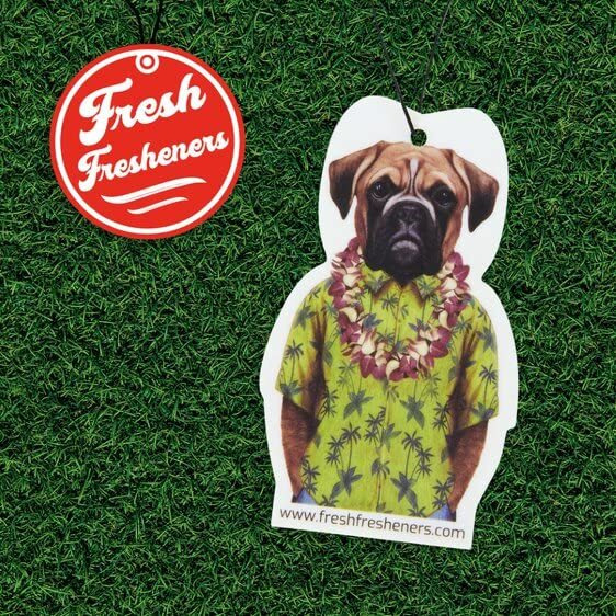 Dog Car Air Freshener 3 Pack Boxer Scented With Essential Oils By Fresh Fresheners