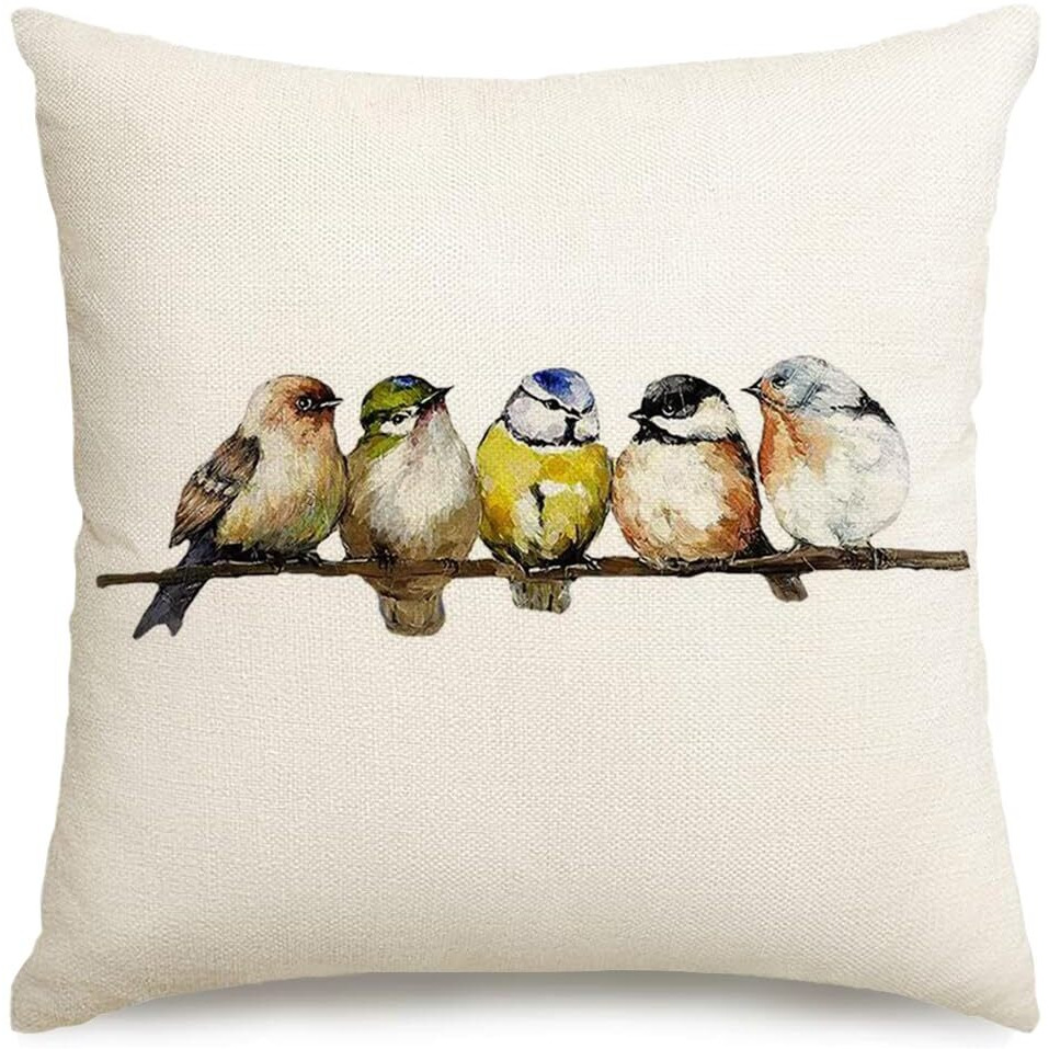 Rabusofa Watercolor Birds Pillows Decorative Throw Pillows 18X18,Hand-Painted Oil Painting Rustic Birds Square Pillow Cases,Cute Colorful Spring Summer Decorations For Home Couch Sofa Outdoor