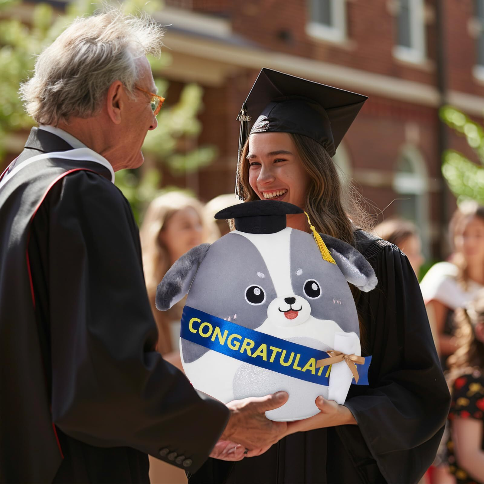Happyspot 14"" Graduation Dog Plush Pillow,Preschool Class Of 2025 Graduation Gift,Border Collie Stuffed Animals Plush Toy With Grad Cap For Boys Girls Kindergarten High School College Decoration