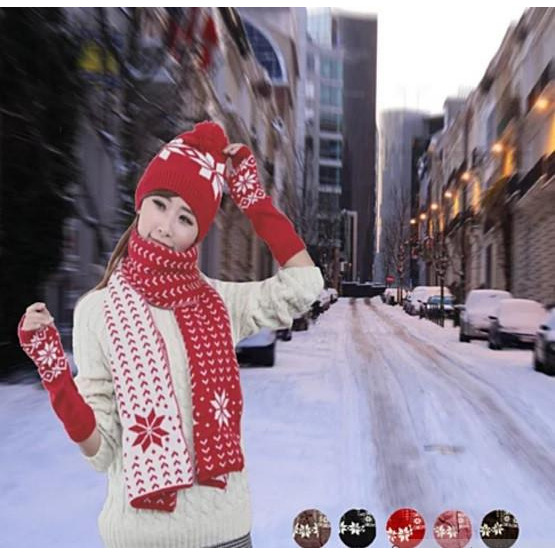 Snow Angel 3 pc XMas Set of Scarf, Hat And Gloves In 2 Tones(D0102HE64PY.)