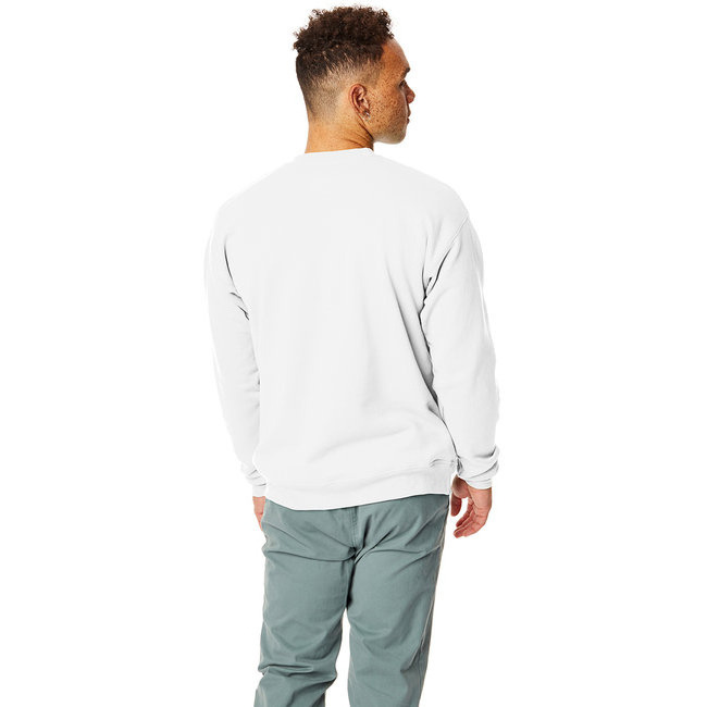 Unisex Ecosmart 5050 crewneck Sweatshirt - cARDINAL - S(D0102H7KFZT)