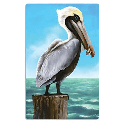 Pelican Cutout