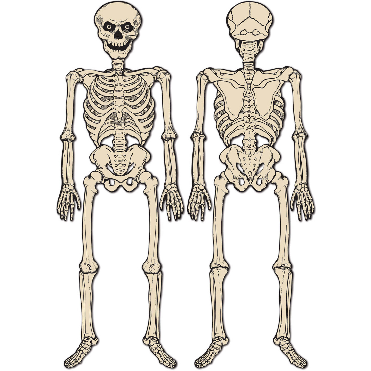 Vintage Halloween Jointed Skeleton