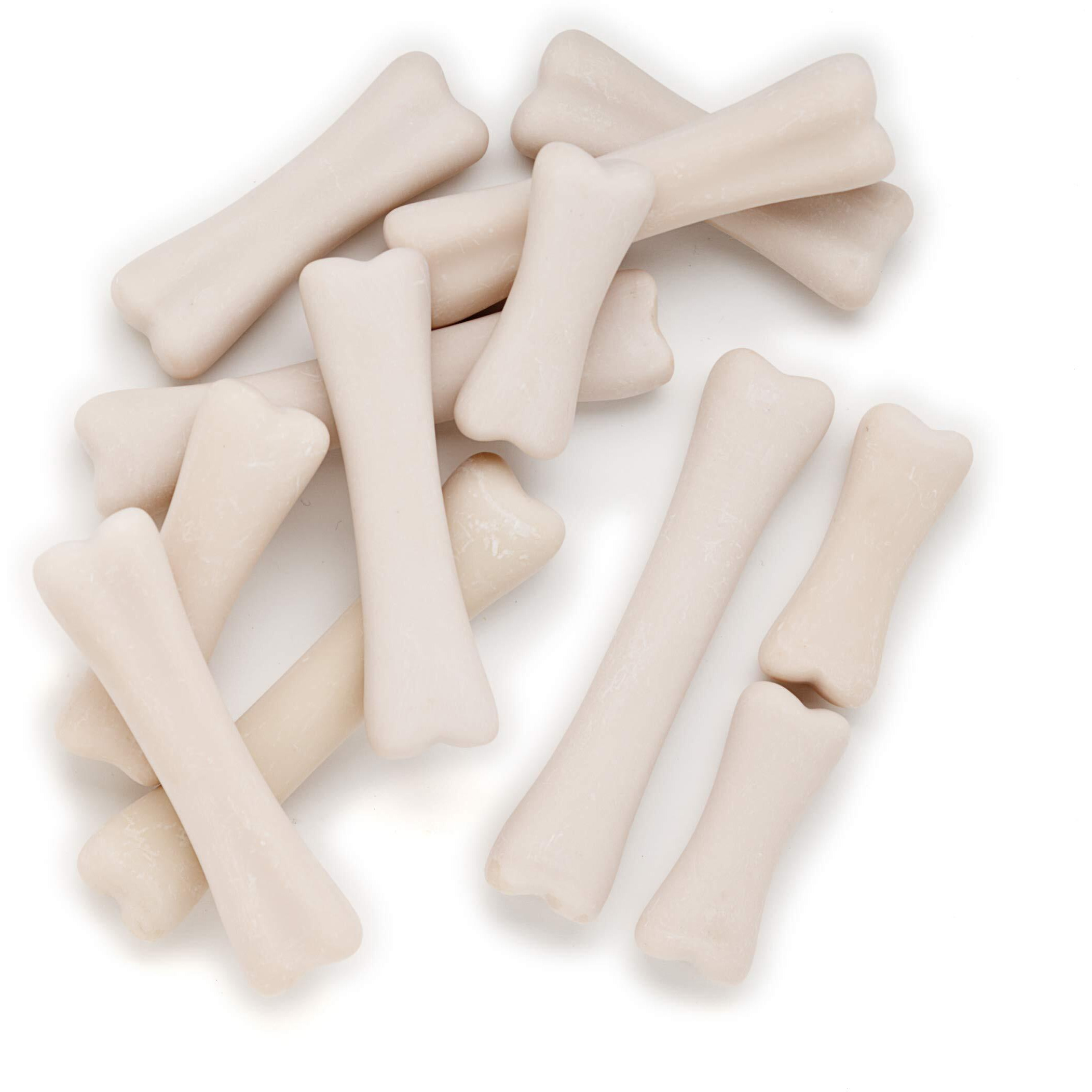 DINOSAUR BONES DISCOVERY SET
