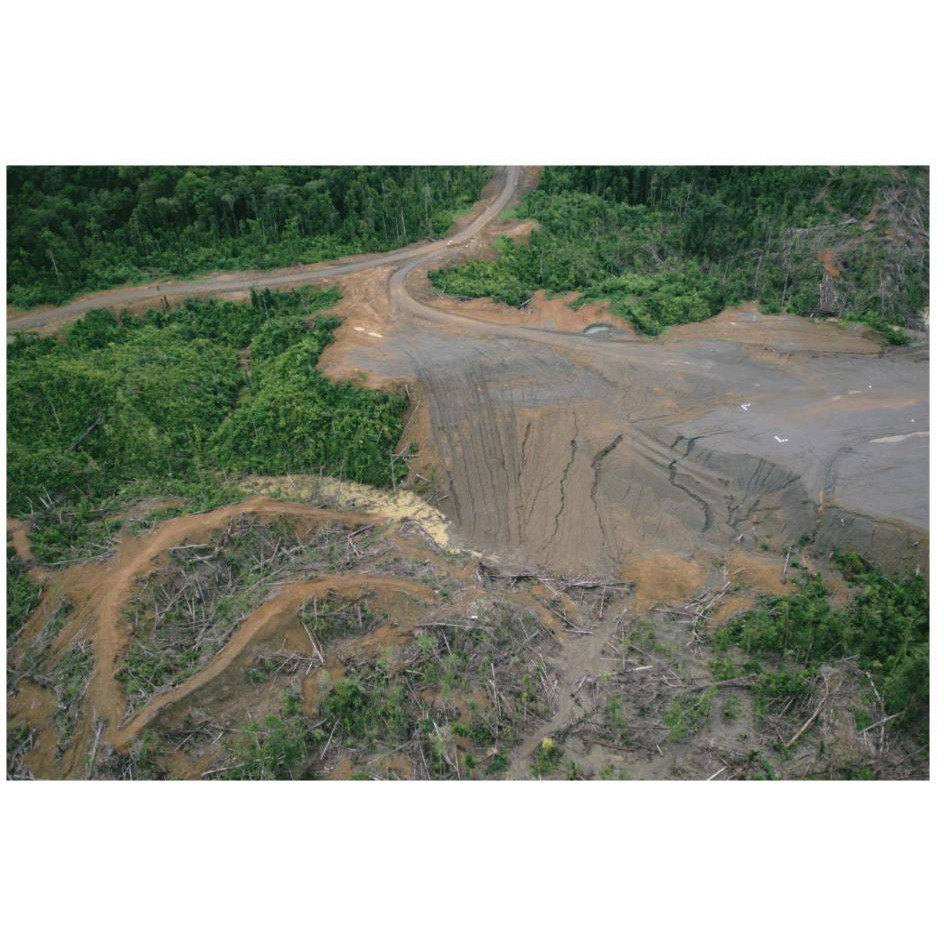 Rainforest logging activities near eastern boundary of the Kikori Delta, Papua New Guinea-Paper Art-26&quotx18"