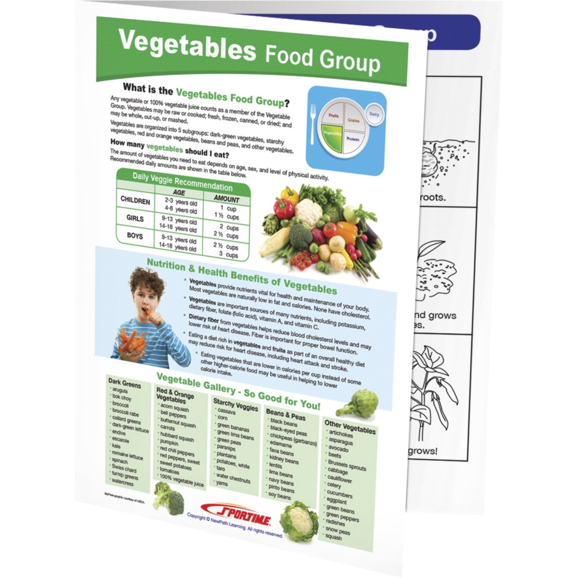Sportime Vegetables Food Group Visual Learning Guide, 4 Pages, Grades 5 to 9