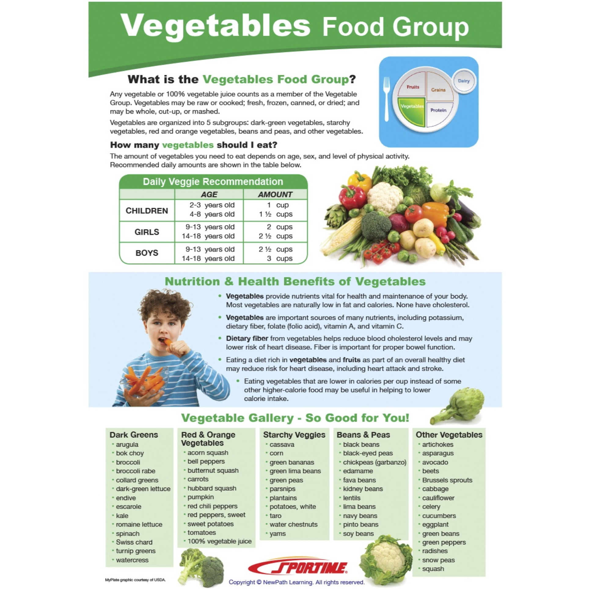 Sportime Vegetables Food Group Visual Learning Guide, 4 Pages, Grades 5 to 9