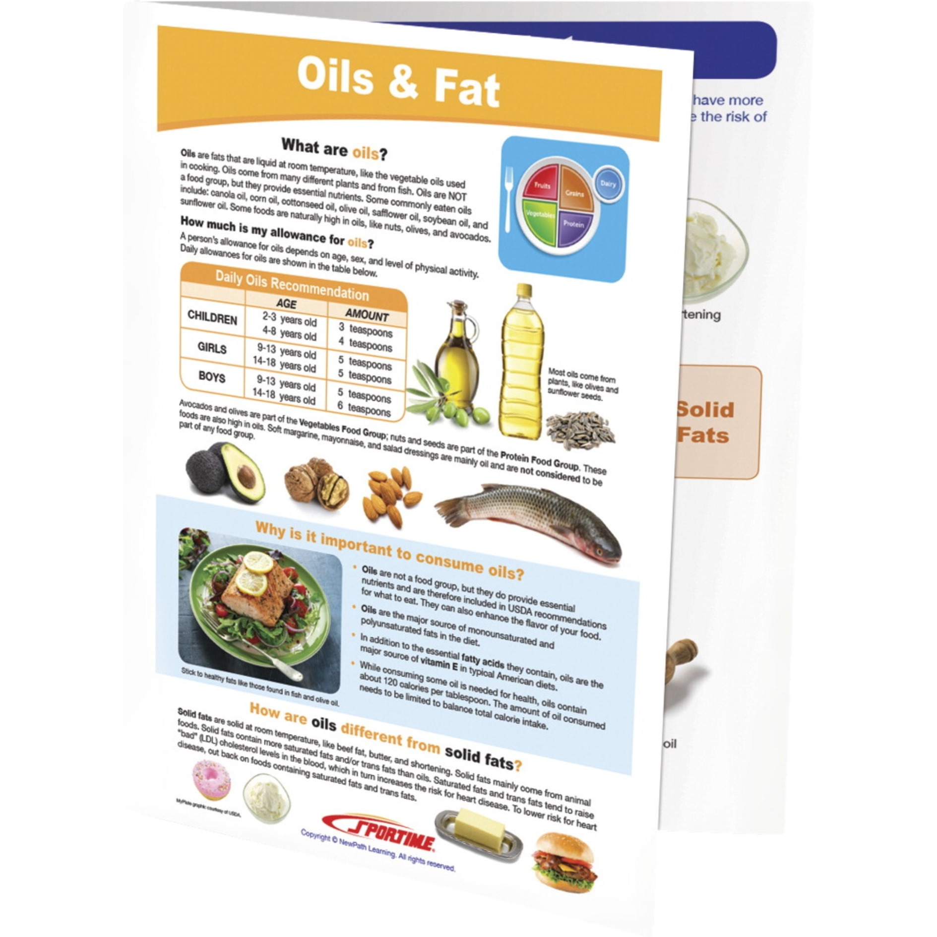 Sportime Oils & Fat Visual Learning Guide, 4 Pages, Grades 5 to 9