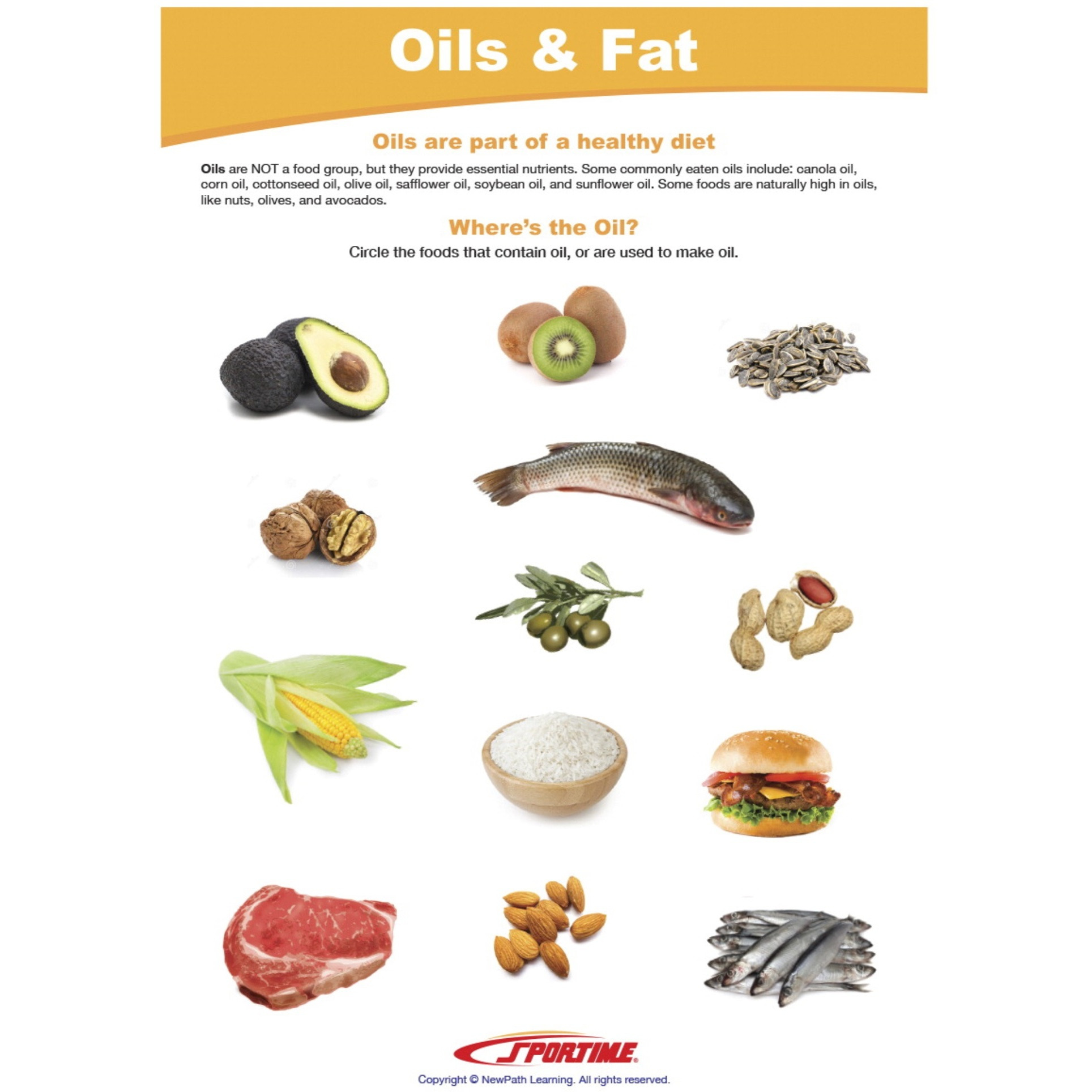 Sportime Oils & Fat Visual Learning Guide, 4 Pages, Grades 5 to 9