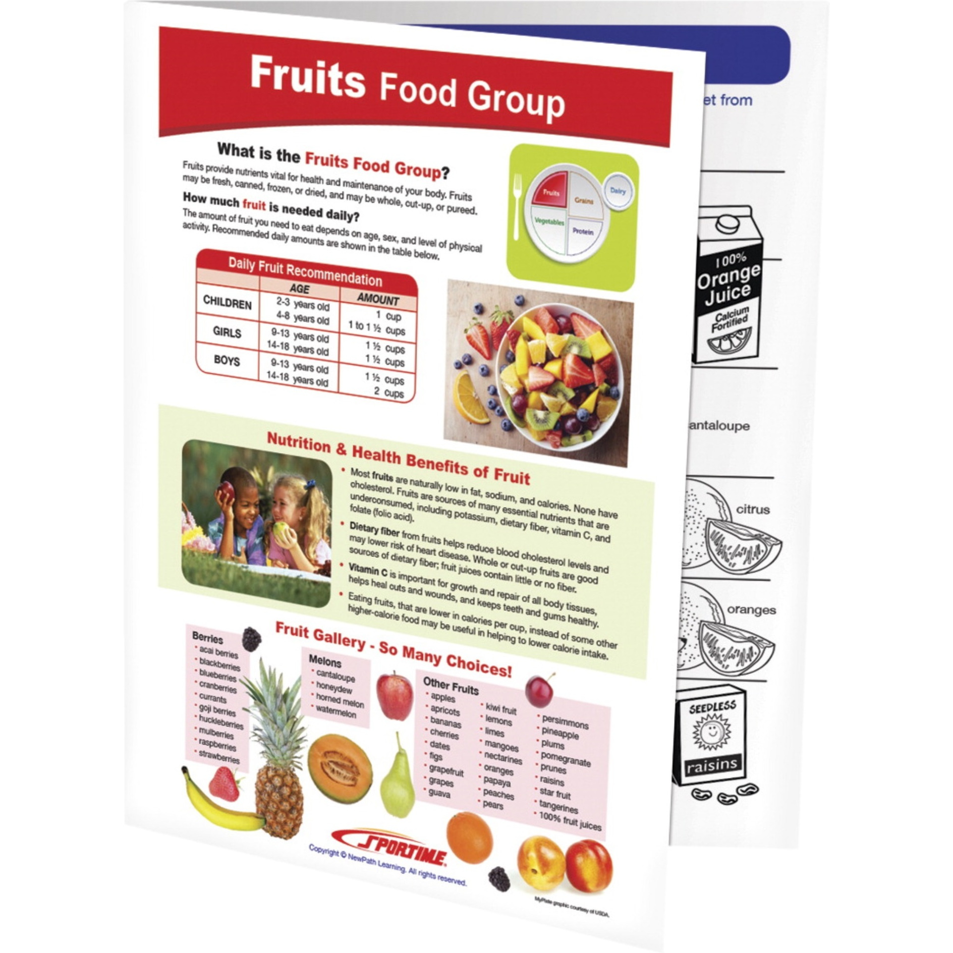 Sportime Fruits Food Group Visual Learning Guide, 4 Pages, Grades 5 to 9