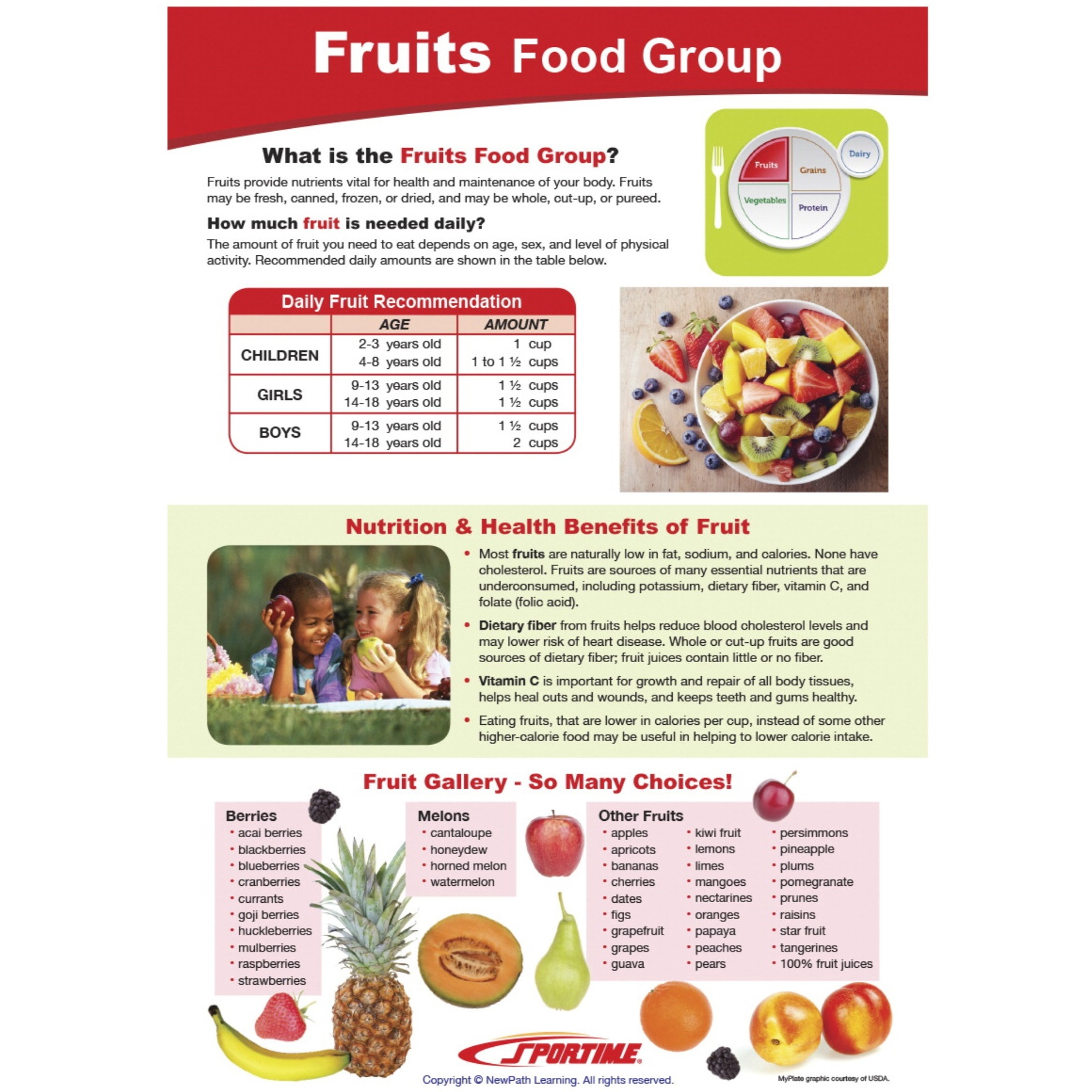 Sportime Fruits Food Group Visual Learning Guide, 4 Pages, Grades 5 to 9