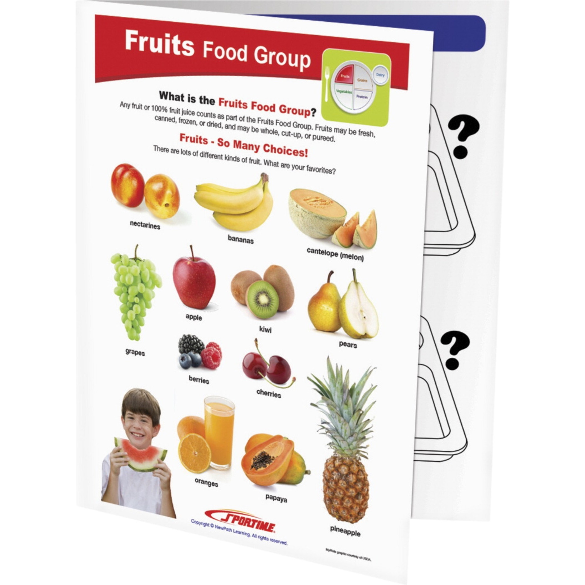 Sportime Fruits Food Group Visual Learning Guide, 4 Pages, Grades 1 to 4