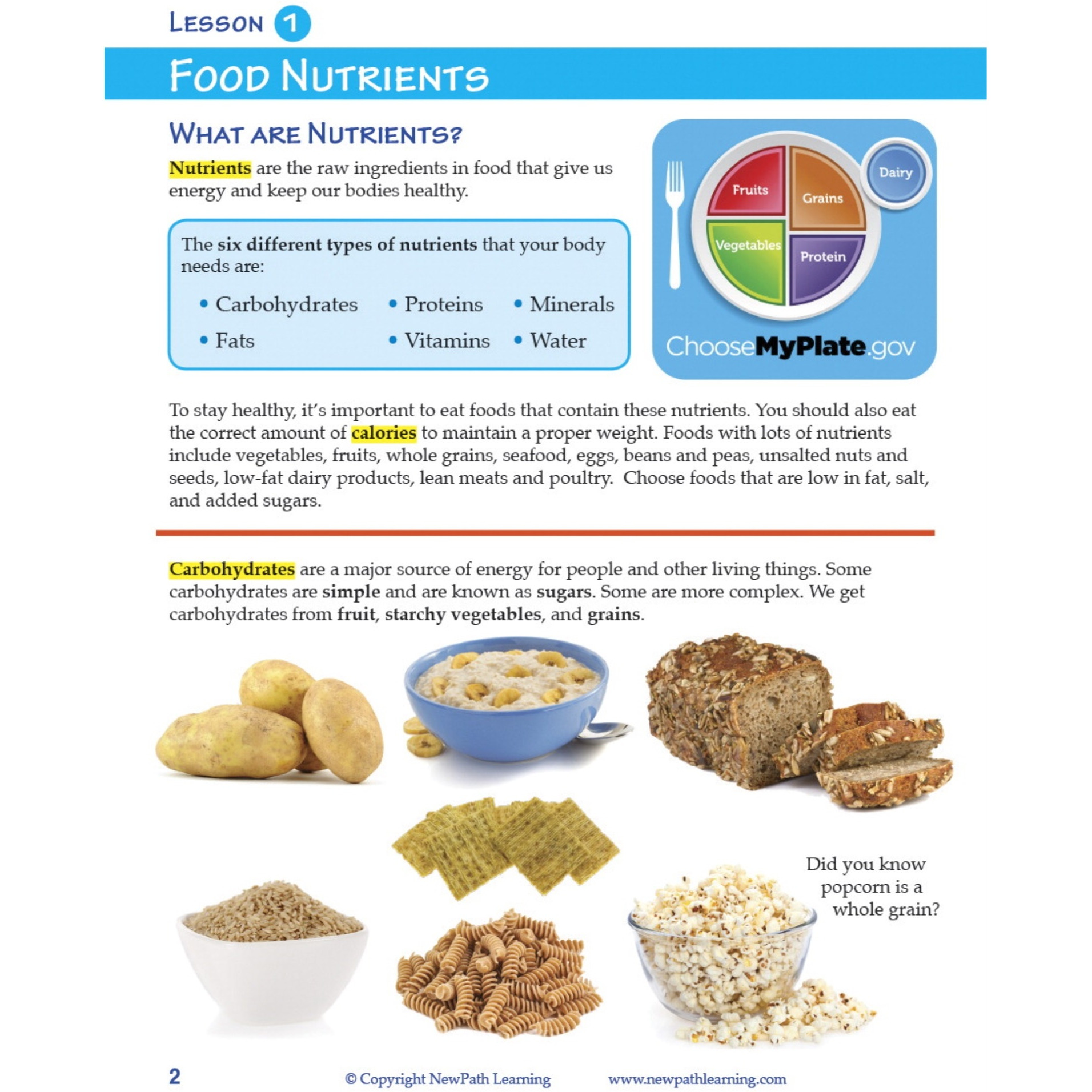 Sportime MyPlate Food & Nutrition Student Learning Guide, 44 Pages, Grade 1 to 4