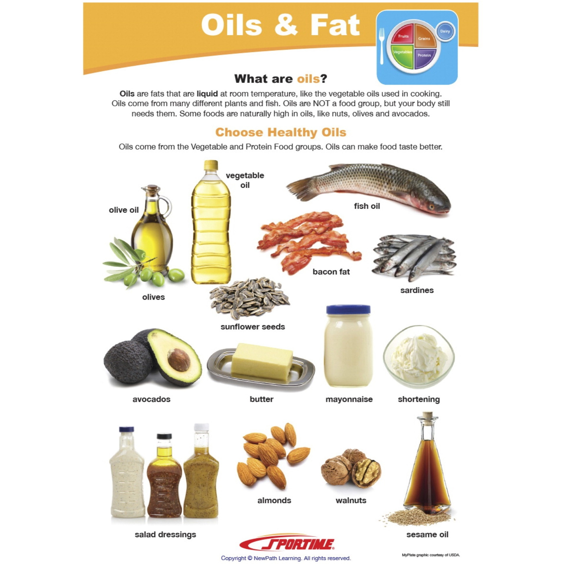 Sportime Oils & Fat Visual Learning Guide, 4 Pages, Grades 1 to 4