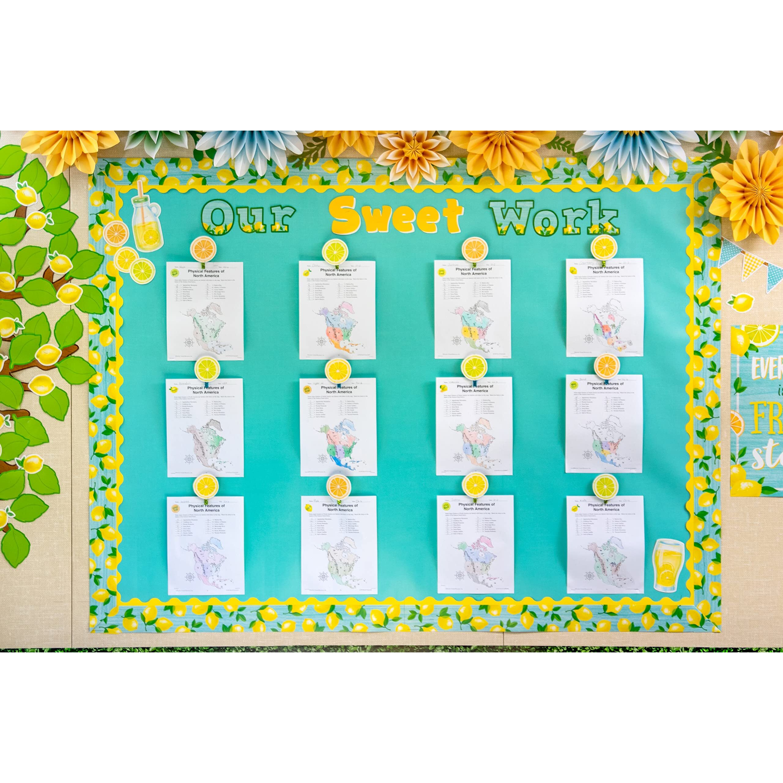 LEMON ZEST STRAIGHT BORDER TRIM