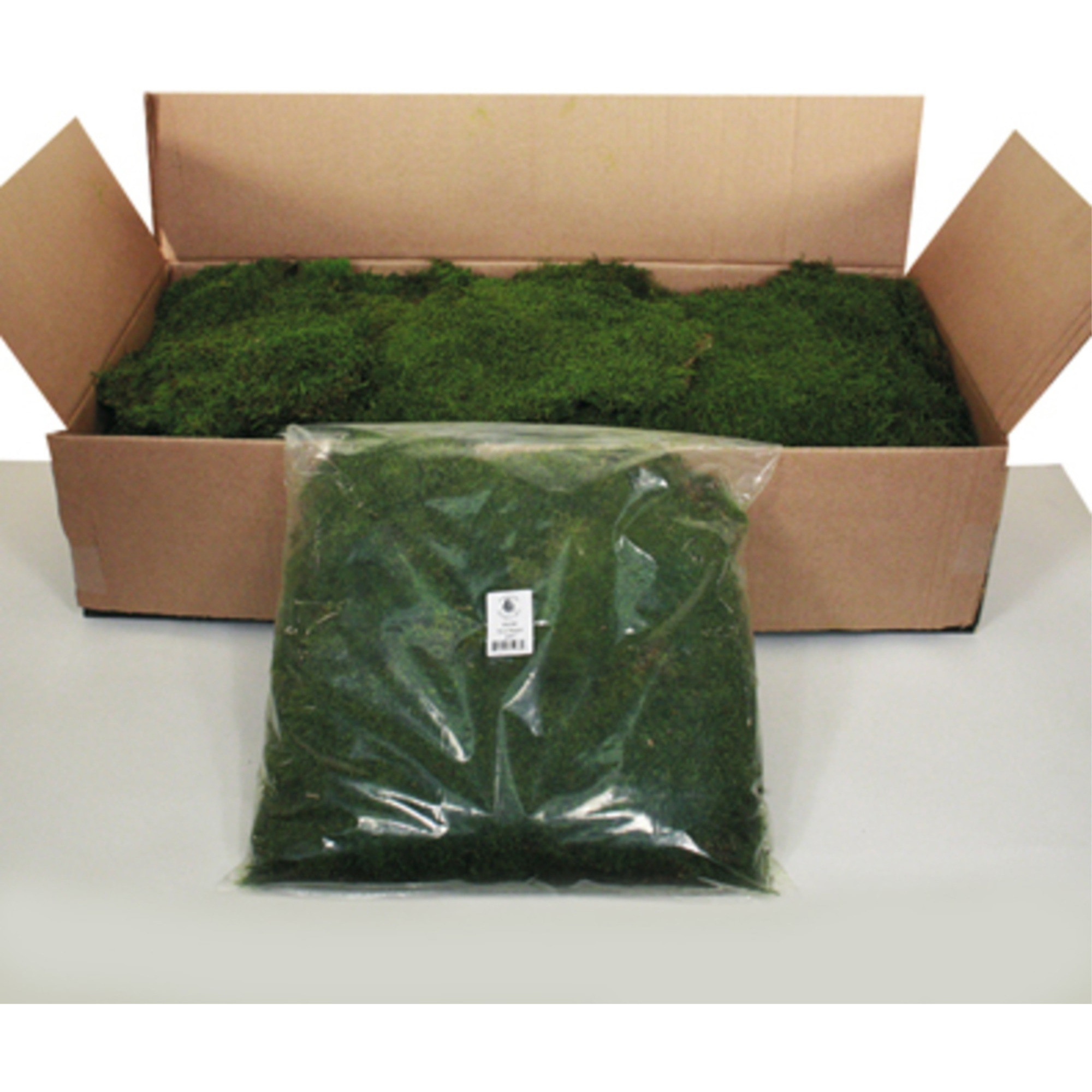 Vickerman 1.1 Lbs Bag of Green Sheet Moss, Preserved