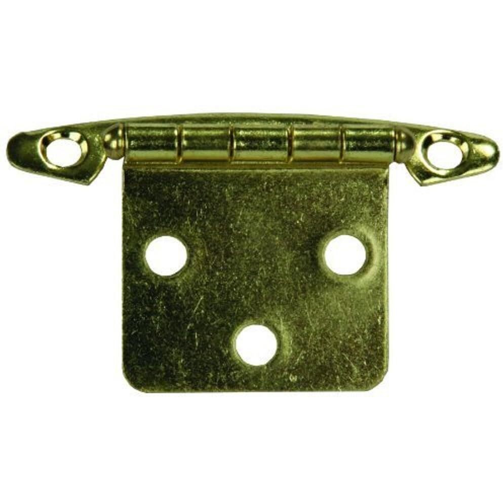 FR SWING FL MT HINGE  BRS