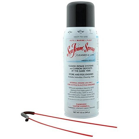 SEA FOAM SPRAY CLNR 12OZ (Pack of 1)