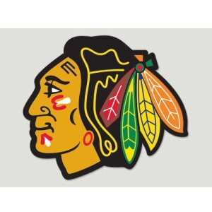 Chicago Blackhawks Decal 8x8 Die Cut Color