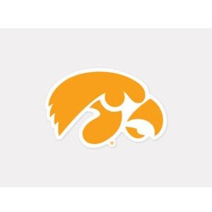Iowa Hawkeyes Decal 4x4 Perfect Cut Color