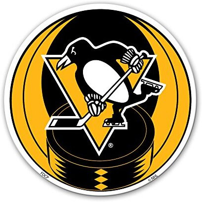 Pittsburgh Penguins Magnet Car Style 8 Inch CO