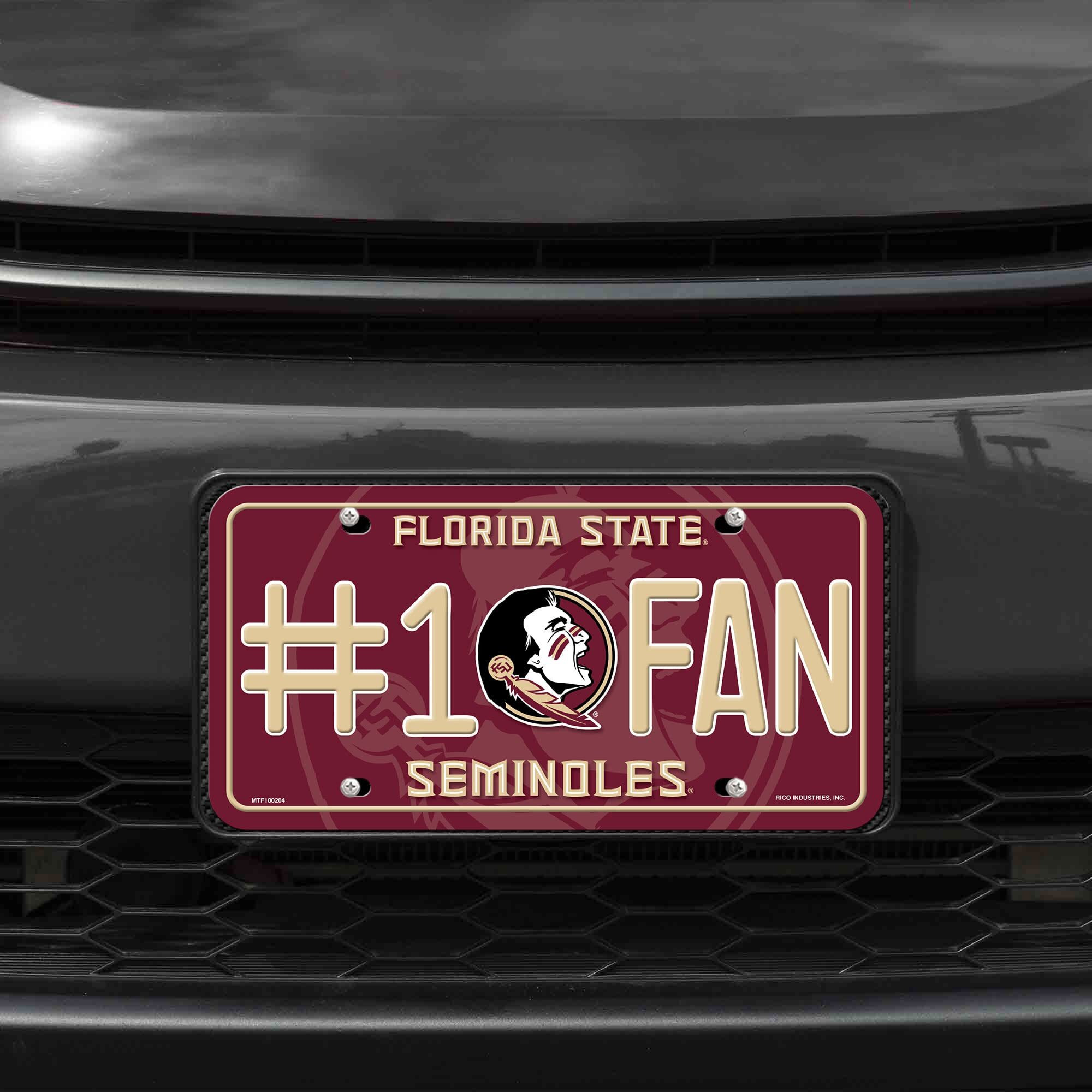 Florida State Seminoles License Plate 1 Fan