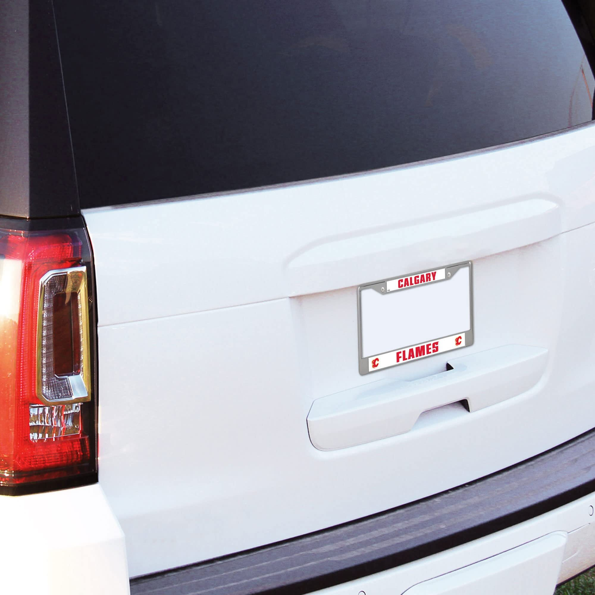 Detroit Lions License Plate Frame Chrome