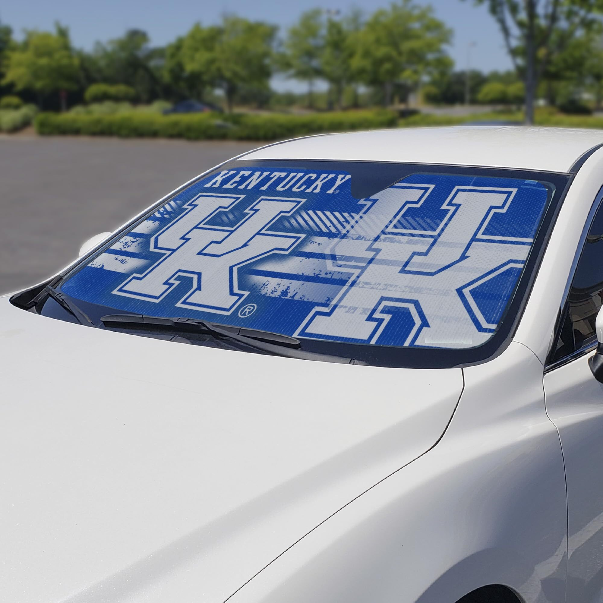 Kentucky Wildcats Auto Sun Shade 59x27