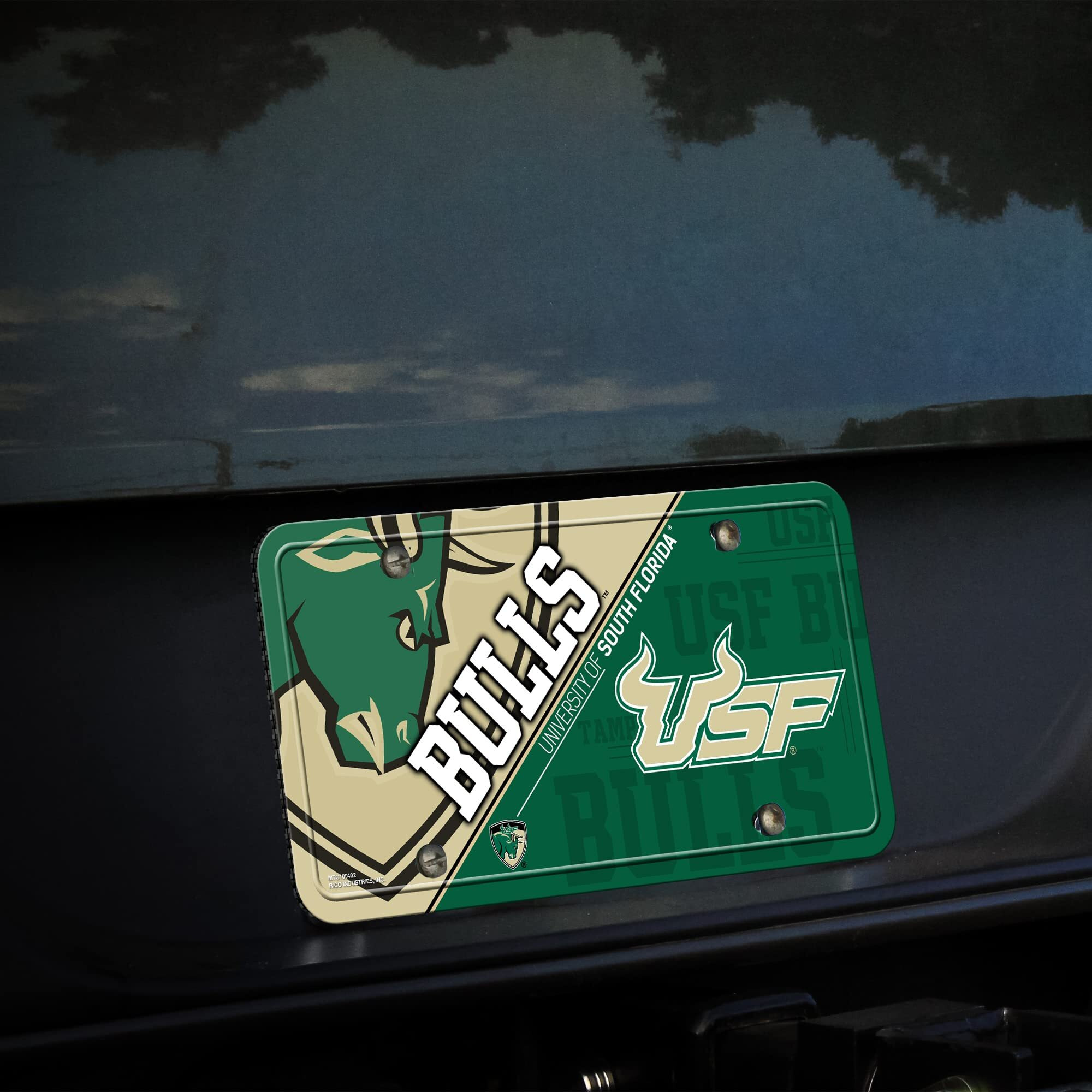 Jacksonville Jaguars License Plate 1 Fan Primary Logo - Special Order