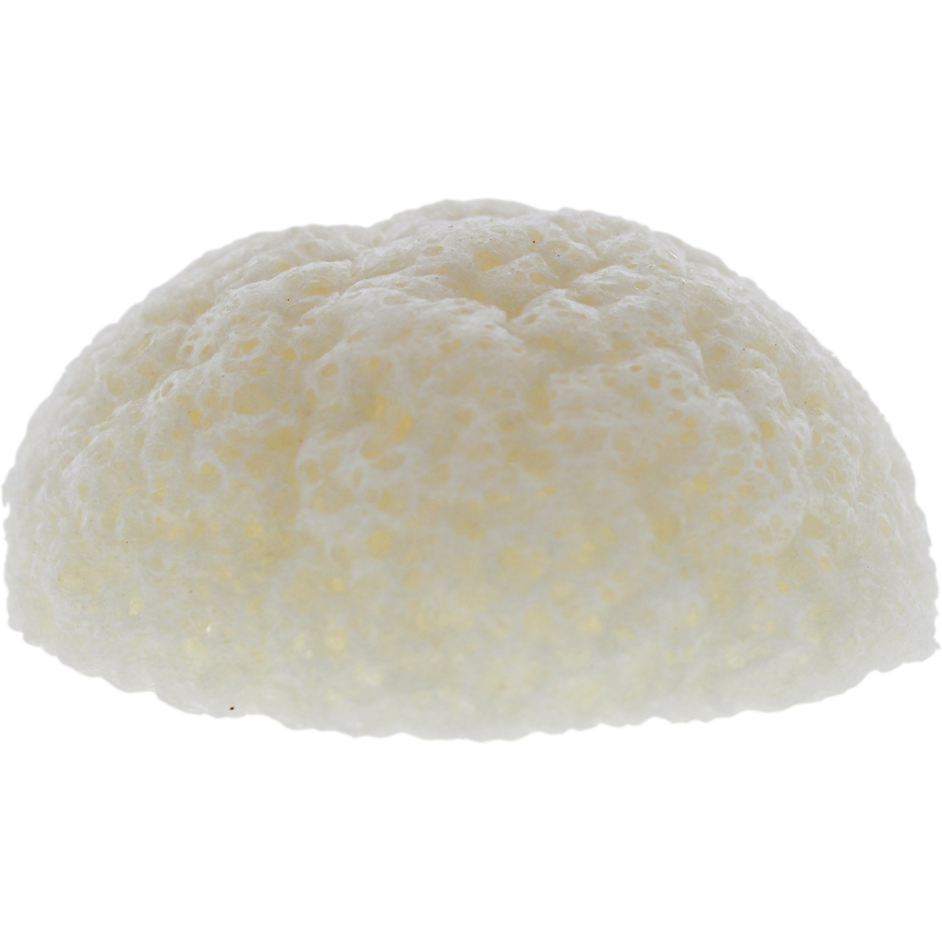 Natural Konjac Sponge by Erborian for Women - 3.5 oz Sponge