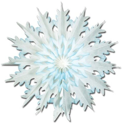 Pkgd Dip-Dyed Snowflakes