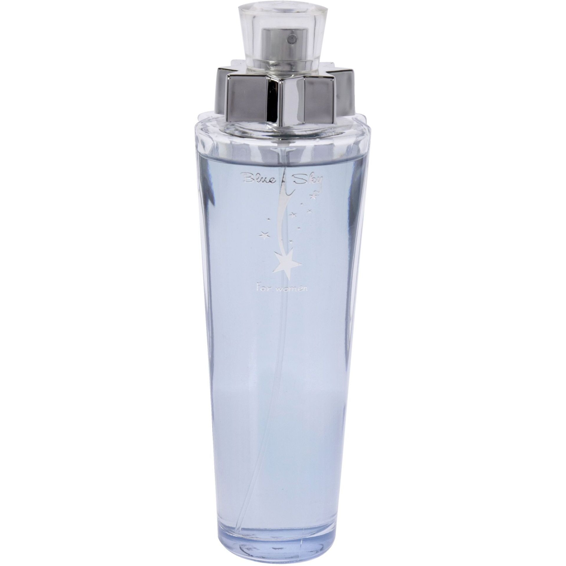 Blue Sky by New Brand for Women - 3.3 oz EDP Spray