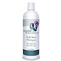 Organic Excellence WILD MINT SHAMPOO, Chemical and Sulfate Free, All Natural Color Safe - 16 oz