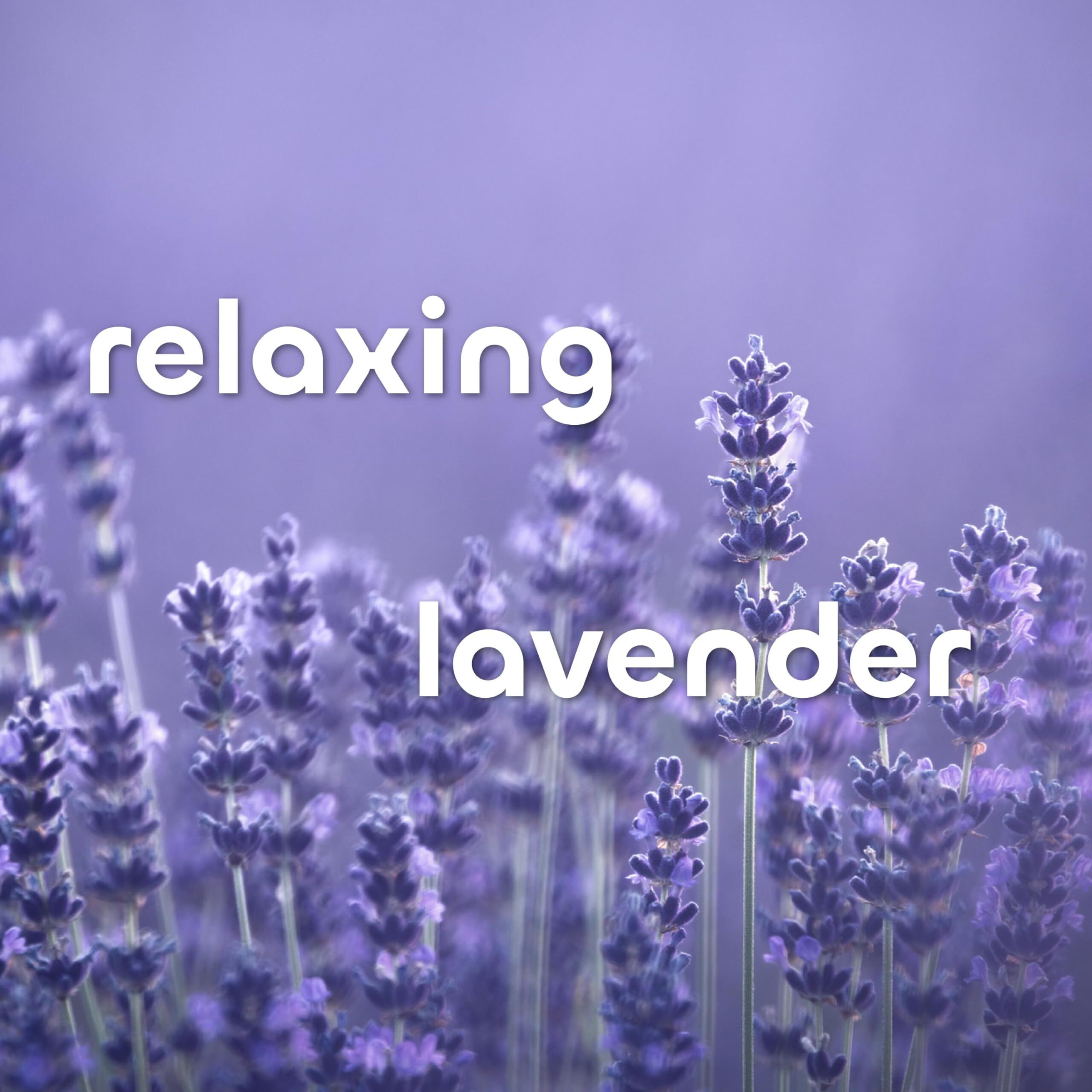 Seaweed Bath Co. Hydrate Body Wash, Lavender Scent, 12 Ounce, Shower Gel for Men & Women, Vegan, Paraben Free, Sulfate Free, Cruelty Free