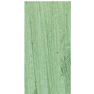 NYX Slide On Pencil - green Papaya(D0102H2cTRU)