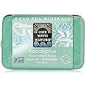 One With Nature Eucalyptus Triple Milled Dead Sea Bar Soap, 7 Ounce - 1 each.