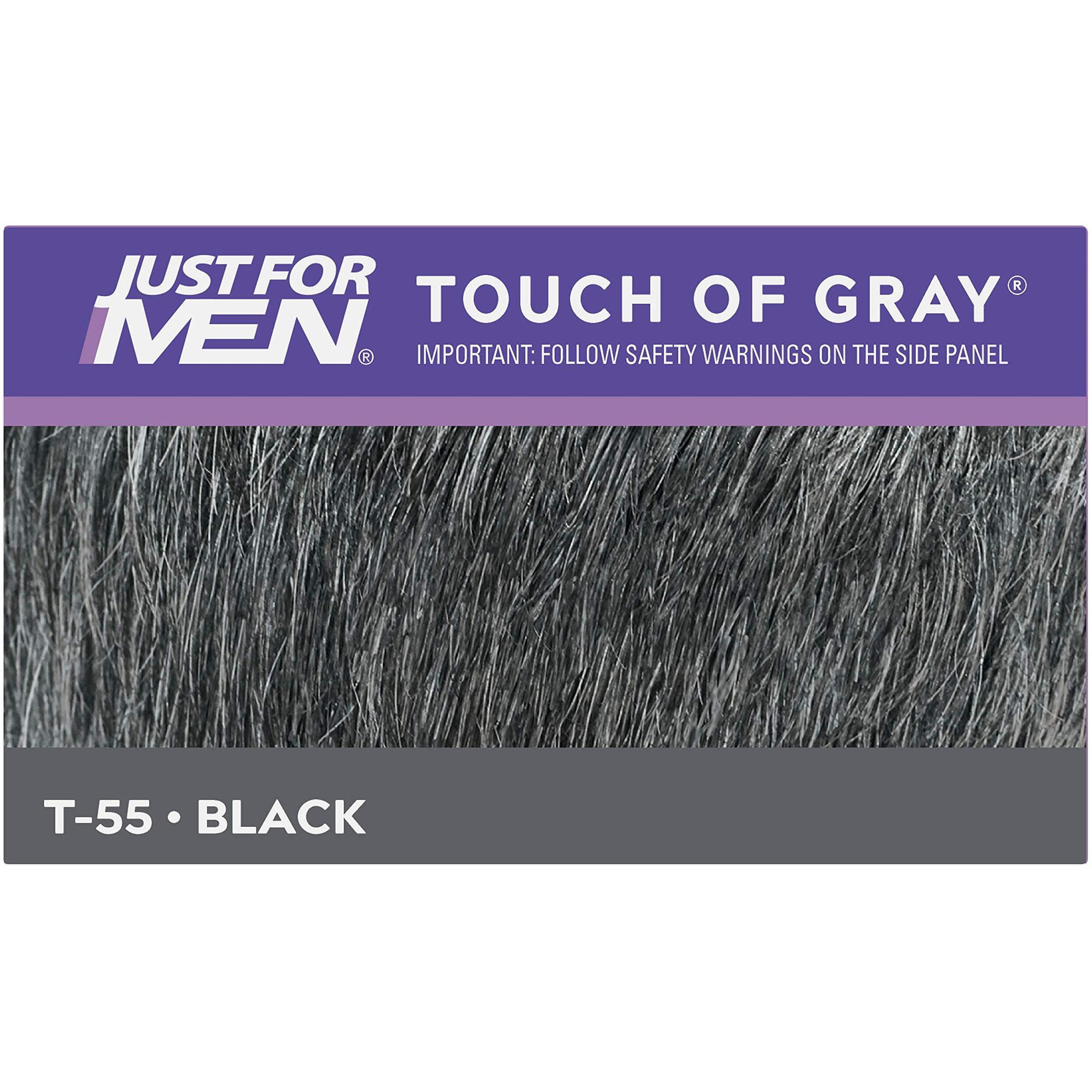 Just For Men Touch of Gray Men's Hair Color, Black