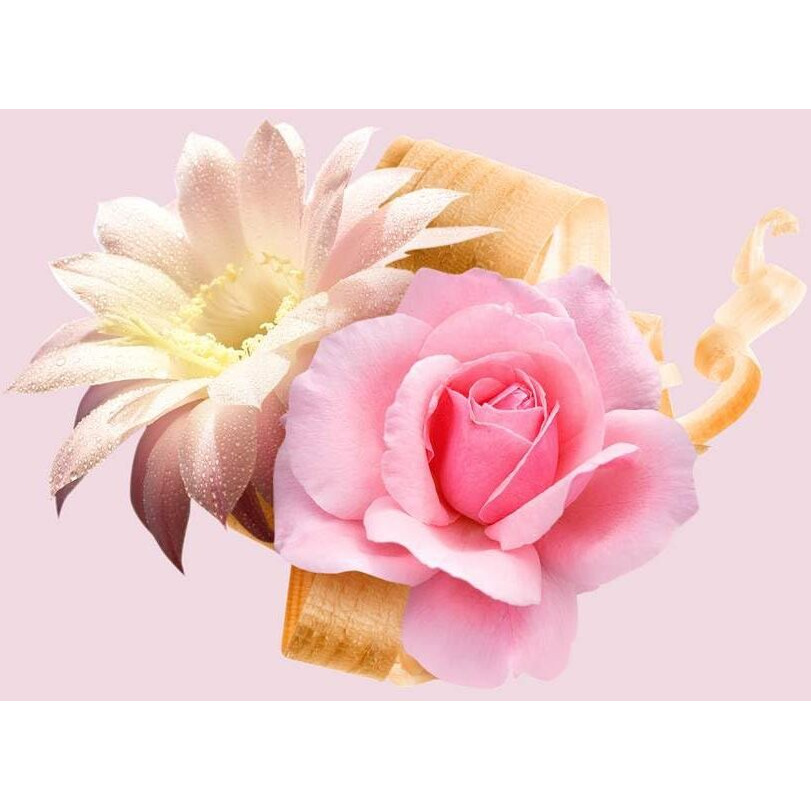 Boss Ma Vie by Hugo Boss Eau De Parfum Spray 1.6 oz(D0102HA7M1W.)