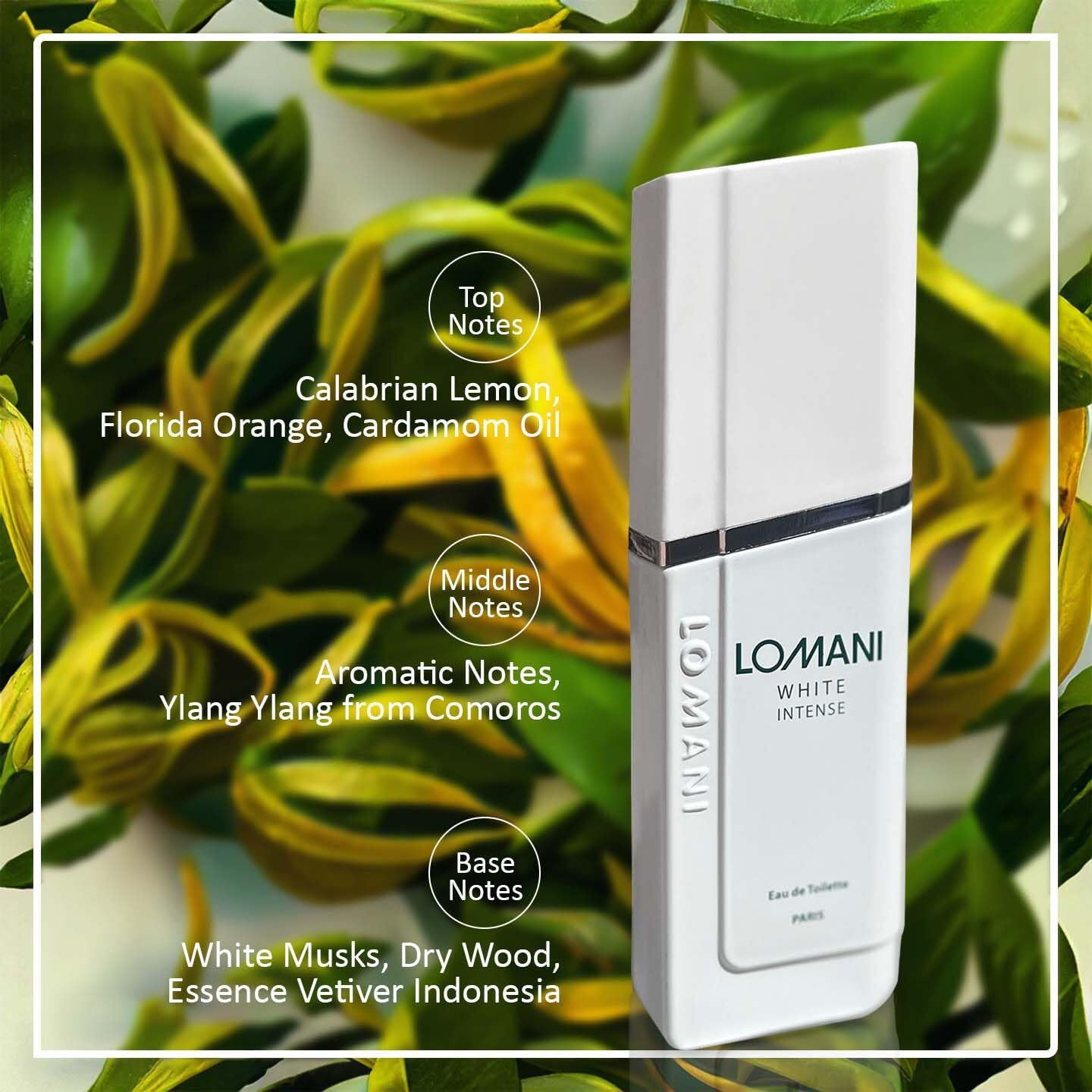 Lomani White Intense by Lomani for Men - 3.3 oz EDT Spray