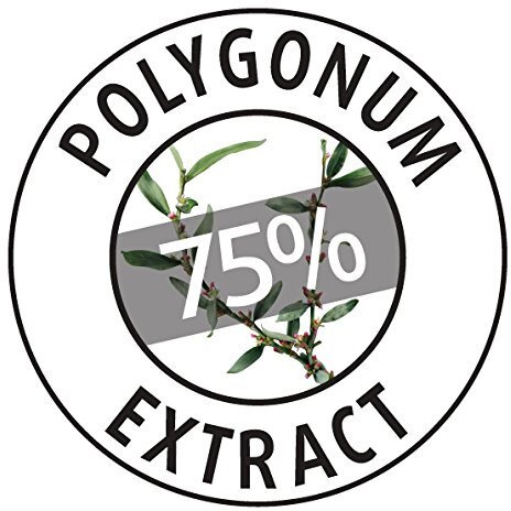 Polygonum Day Cream For Dry Skin by Moraz for Unisex - 1.7 oz Cream