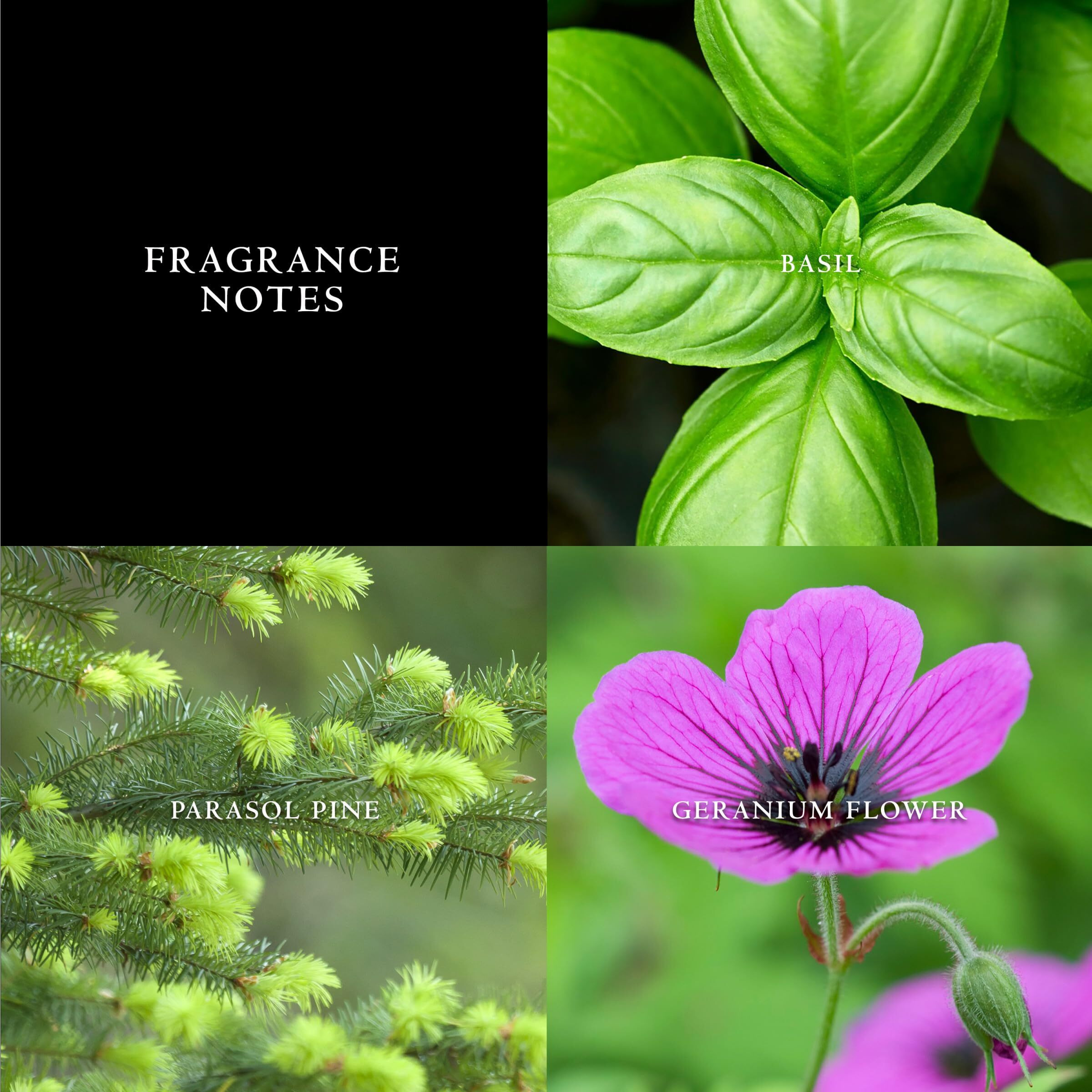 John Varvatos Artisan Blu by John Varvatos Eau De Toilette Spray 2.5 oz(D0102HA7SAU.)