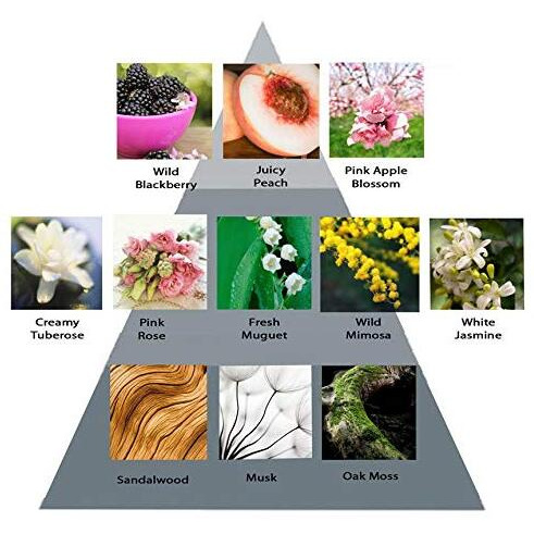 Perry Ellis 360 Purple by Perry Ellis Eau De Parfum Spray 6.7 oz(D0102HA5LFA.)